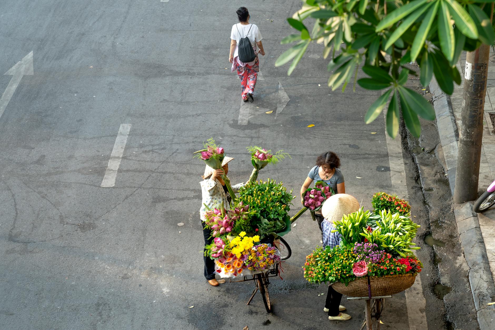 Hoa tươi / Floral Studio