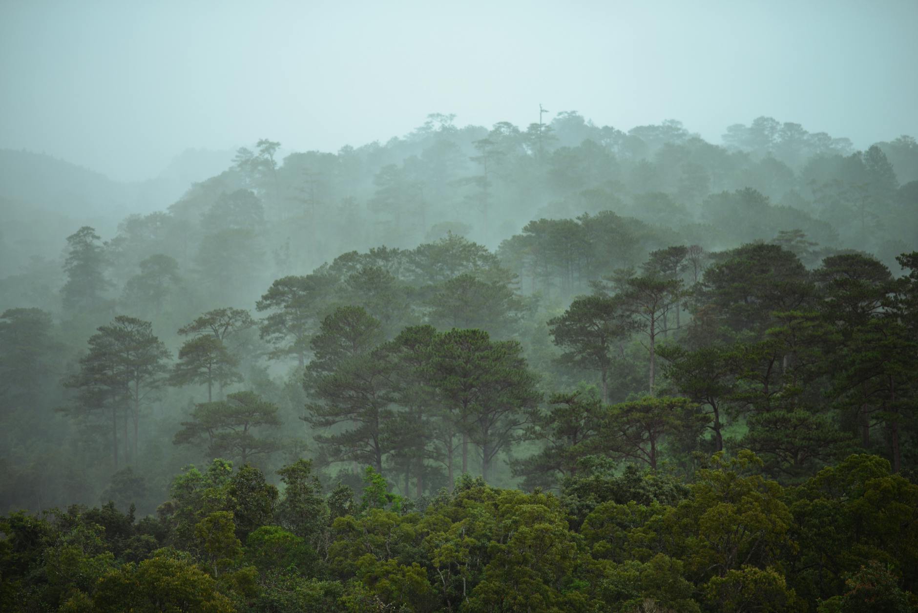 Đà Lạt highlands