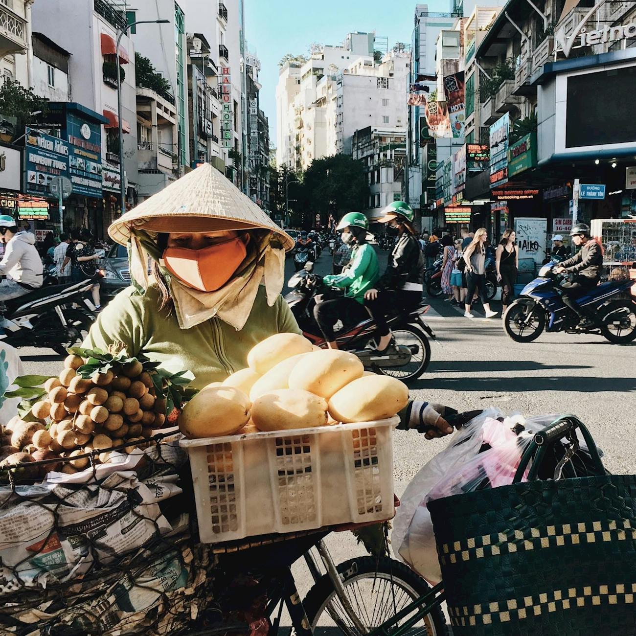 Xoài cát Hoà Lộc