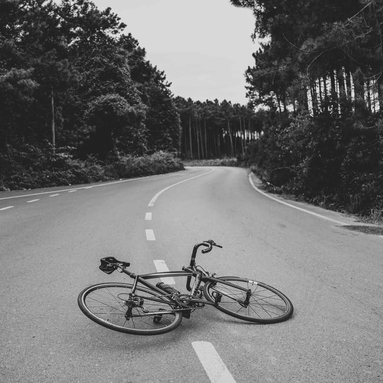 R1 — Road Carbon